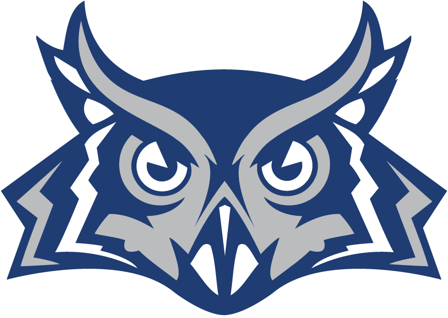 Rice Owls 2010-Pres Alternate Logo diy DTF decal sticker